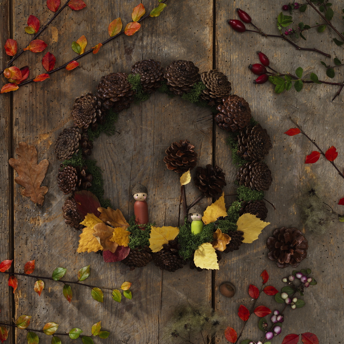 Syyskranssi kävyistä