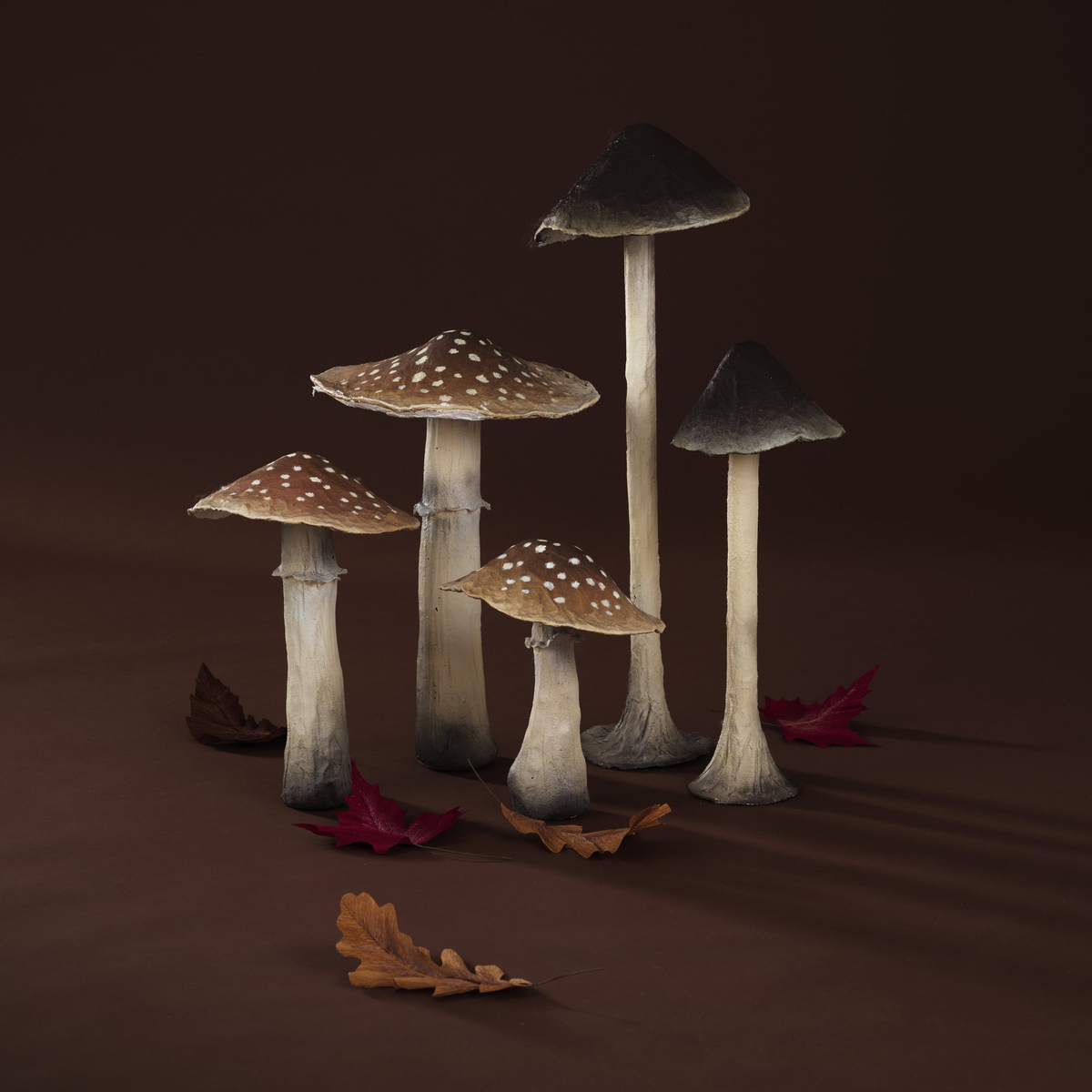 Isoja sieniä kipsistä