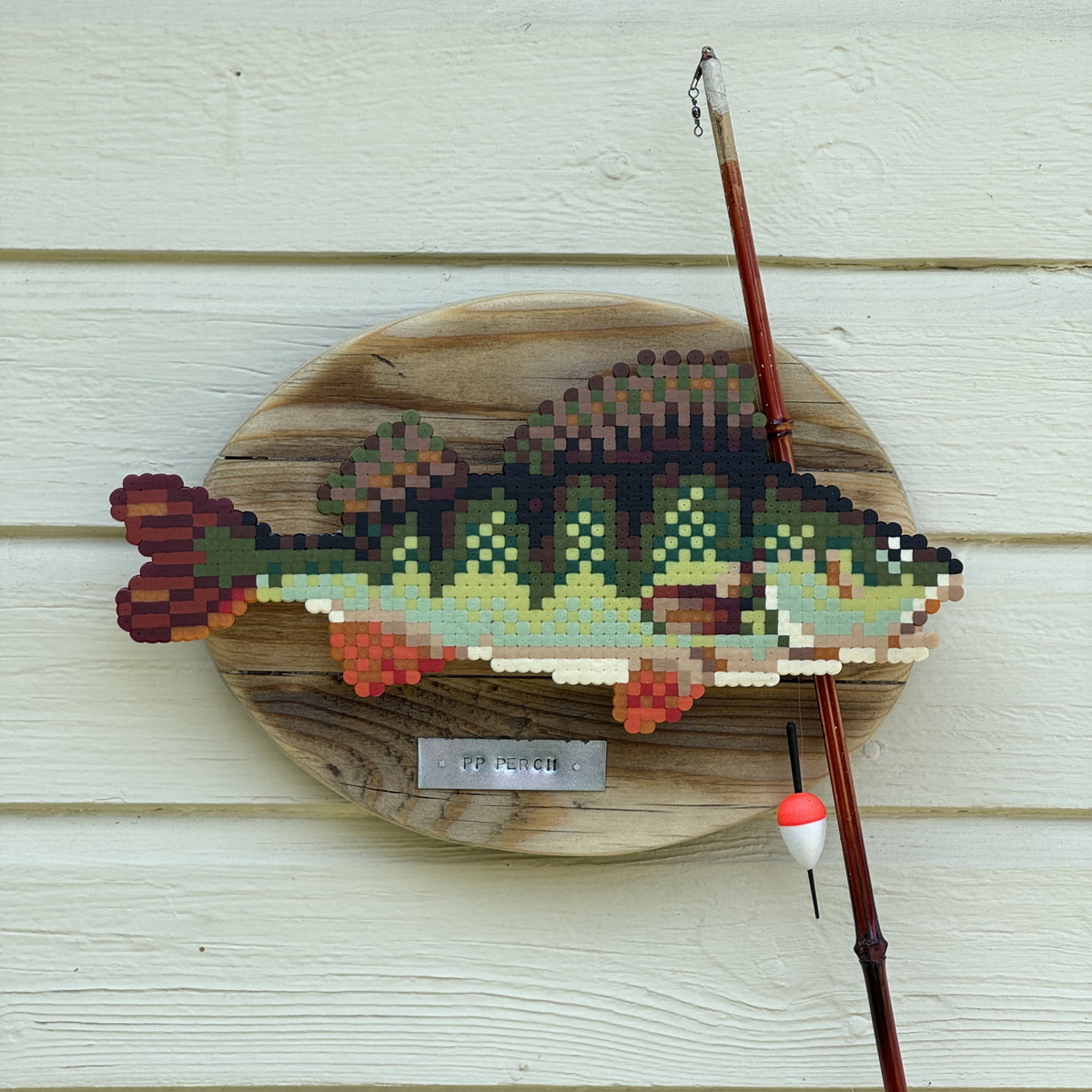 Pärla en fisketrofé