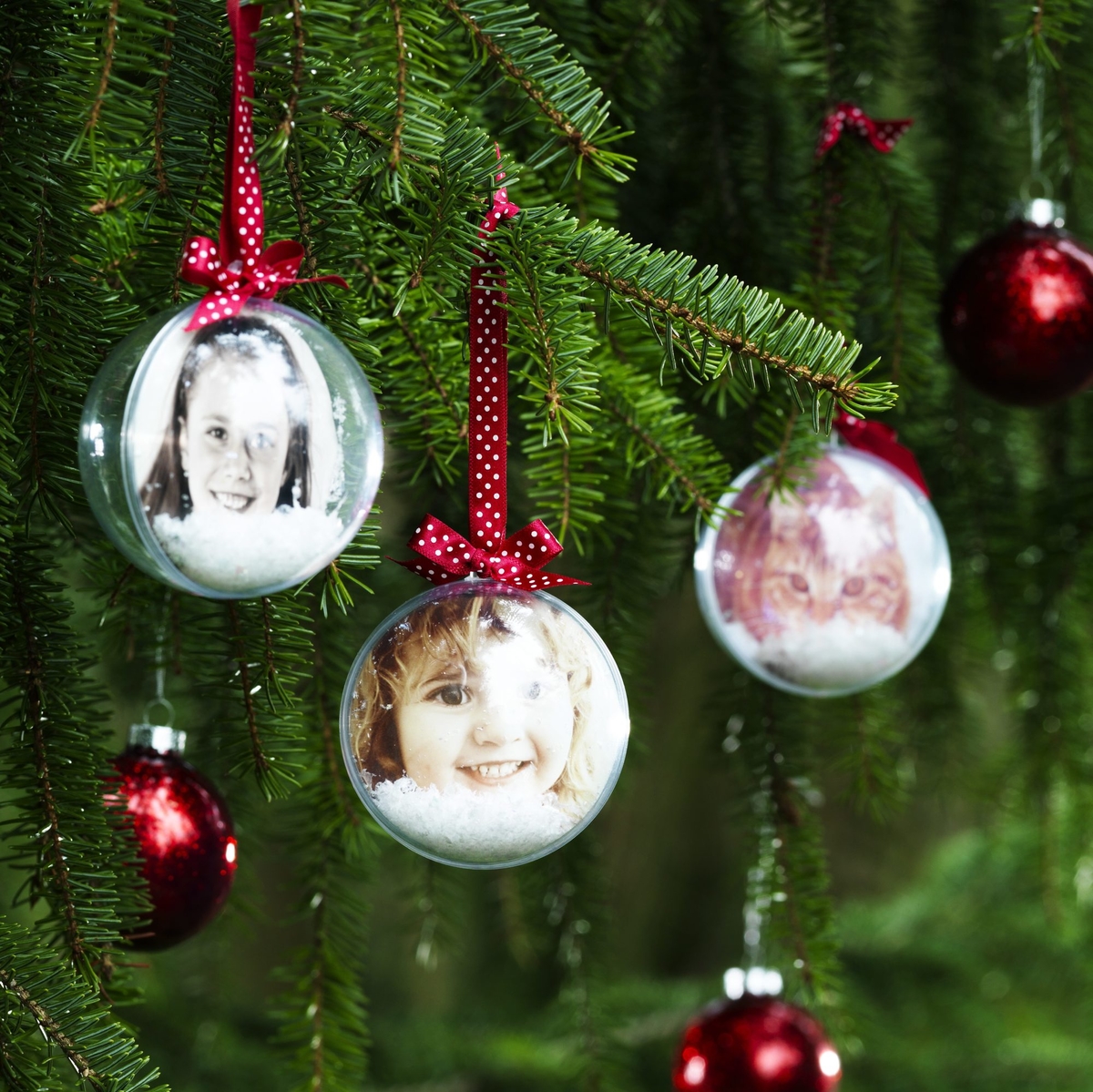 The most beautiful baubles!