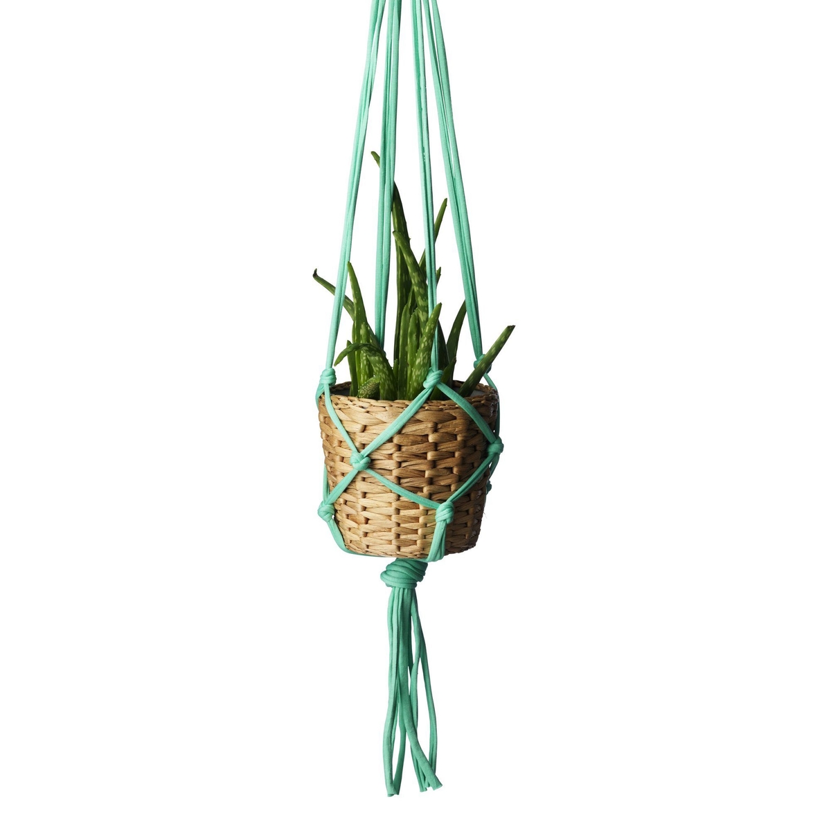 Trendy hanging pots with Zpagetti!