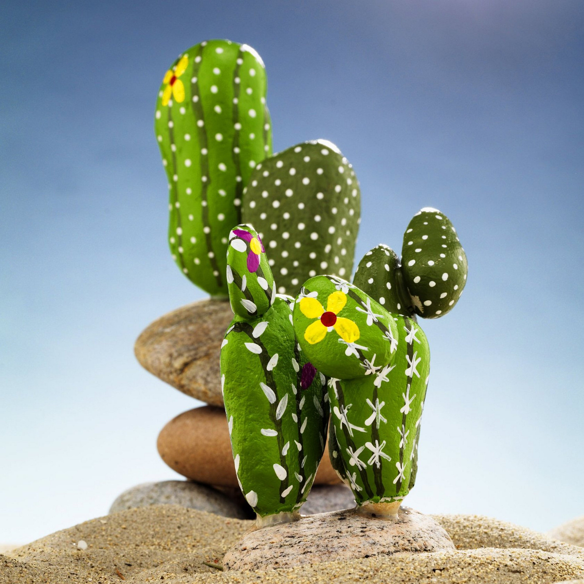 Förvandla stenen till en kaktus