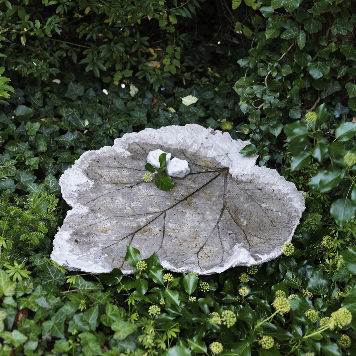 Cast a concrete dish out of a rhubarb leaf