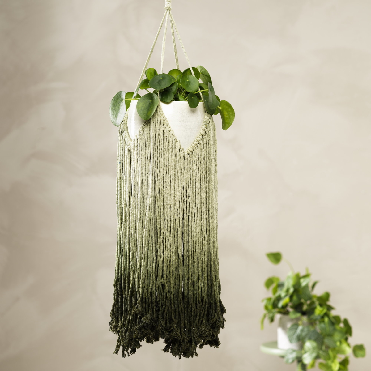 Make a dip-dye hanging plant holder