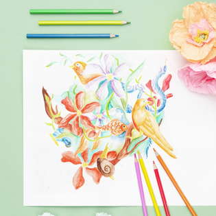 Paint with watercolour pencils